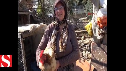 Mersin üzerinde 1 yazan yumurta, görenleri şaşırtıyor
