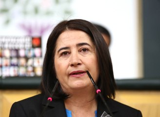 Hdp'li Serpil Kemalbay Gözaltına Alındı
