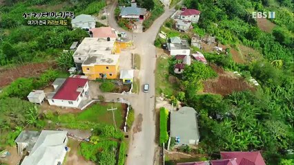 세계테마기행 - 여기가 천국! 카리브 제도 4부- 커피향이 흐르는 축복의 땅_#002