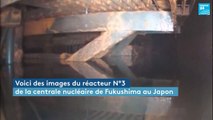 Fukushima : un robot explore les réacteurs