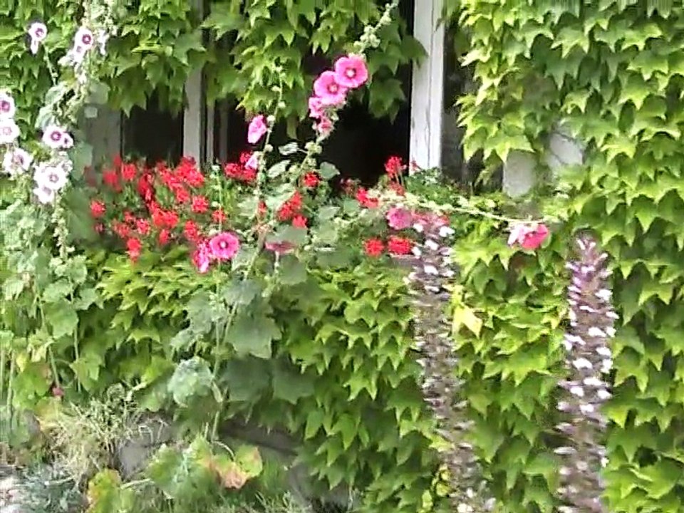 Talmont (5)