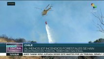 Chile: al menos 107 incendios forestales se registran en todo el país