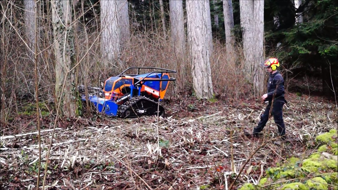 Fixin : le parc Noisot débroussaillé... par un robot