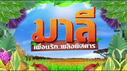 มาลี เพื่อนรัก..พลังพิสดาร EP.11 {ตอนจบ} [Full HD]