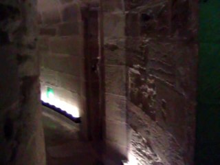 Aigues-Mortes (9)