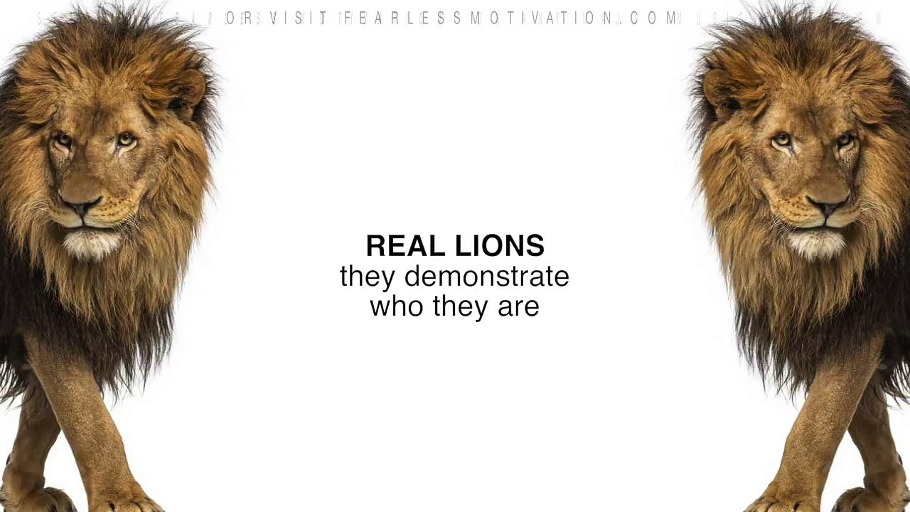 The Lion Attitude (HEART OF A LION) Motivational Video