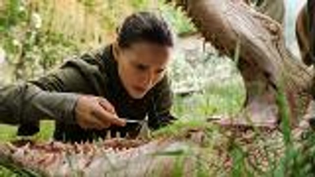 Alex Garland’s 'Annihilation' Facing Criticism Over White-Washed Casting | THR News