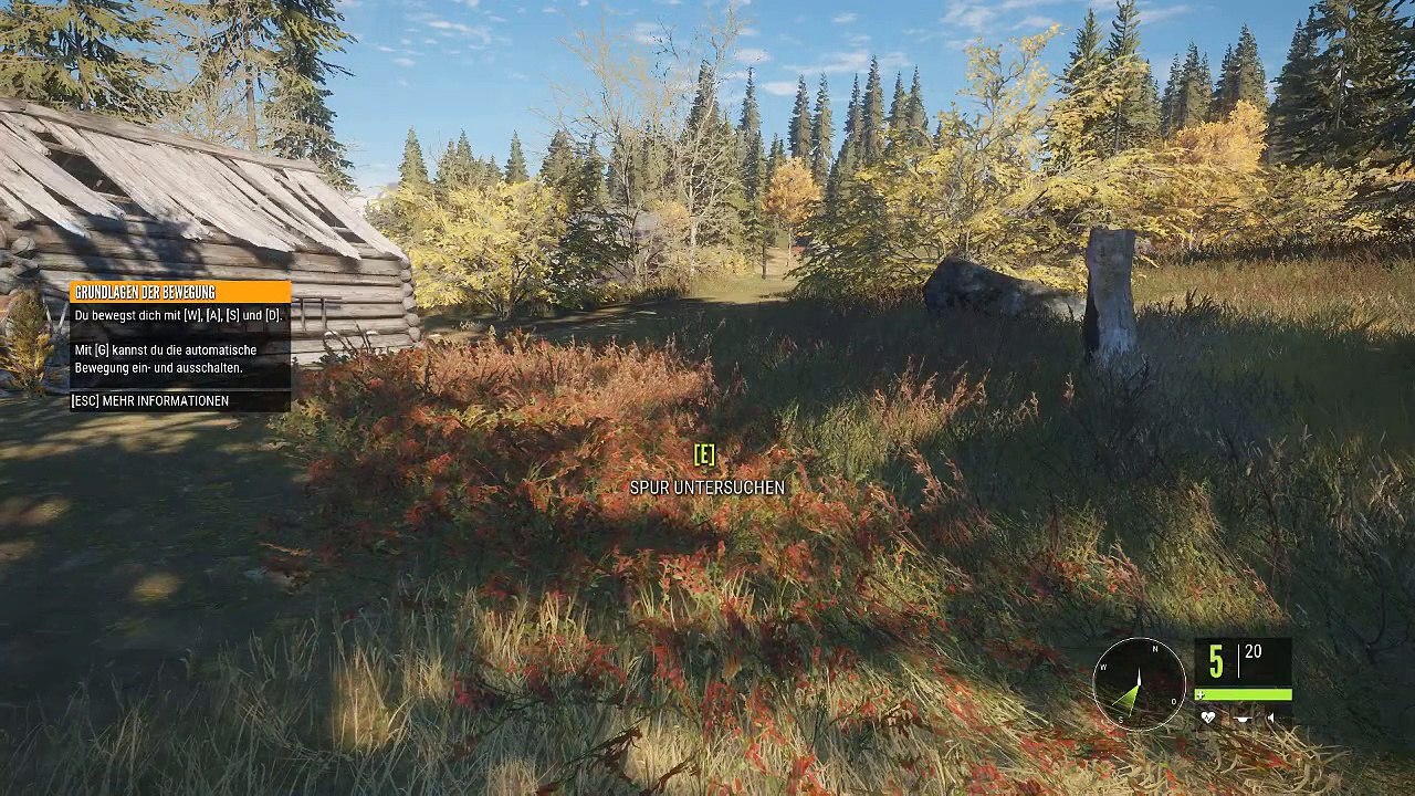 theHunter | Der Weg zum Aussichtspunkt | Erste Beute geschossen