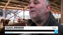 Élevage industriel vs. élevage bio : le paradoxe de l'agriculture en France