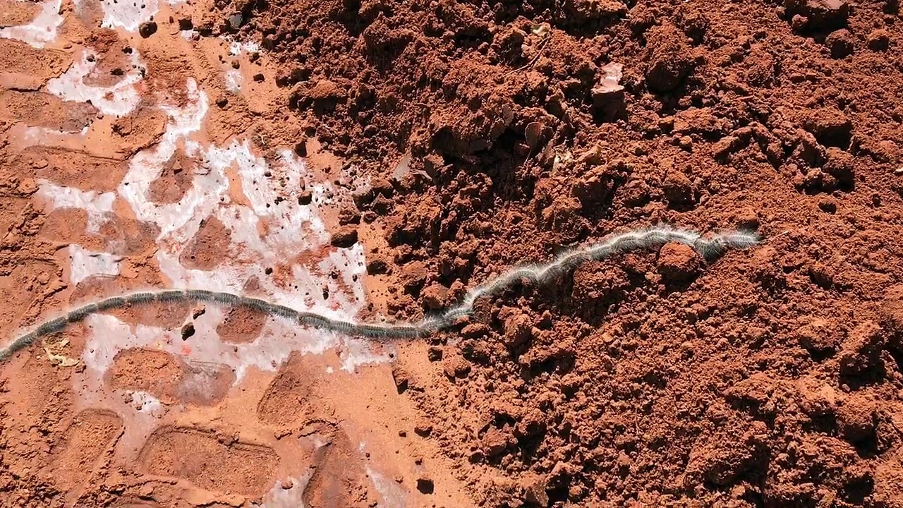 Large Caterpillar Train