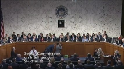 La Inteligencia de EE.UU. destaca la "perversa" amenaza rusa a la democracia