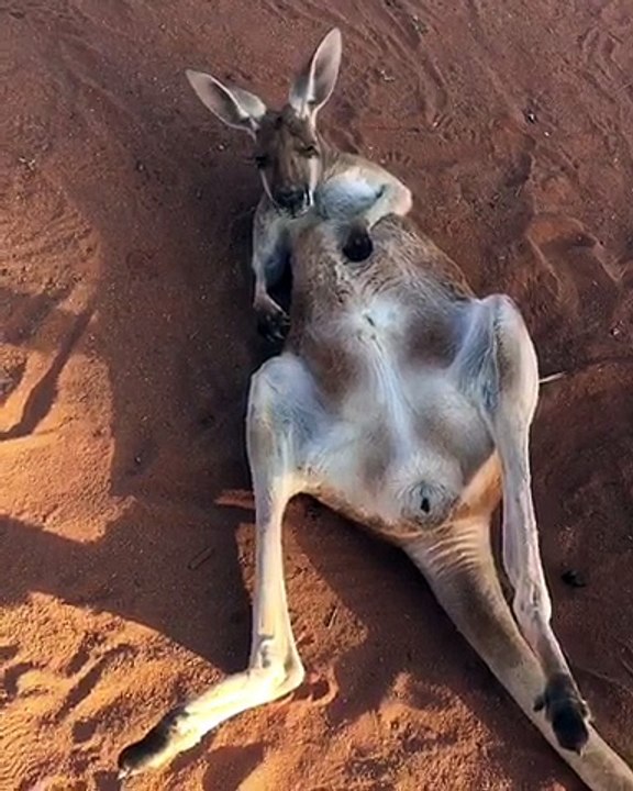 Vaginadan qizil narsa chiqib ketadi.