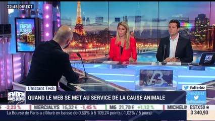 L'Instant Tech: Quand le web se met au service de la cause animale - 13/02