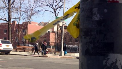 Group Slashes Teen, Burns Her with Bleach in Lobby of NYC Building