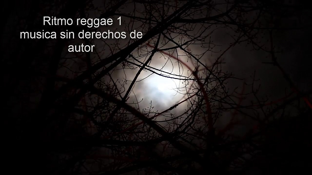 Ritmo reggae 1