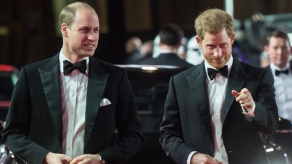 Prince William and Prince Harry Have The Most Heartwarming Sibling Bond