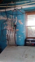 Qué pasaría si te encontraras una serpiente en tu casa