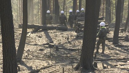 삼척 산불 잔불 정리...117ha 잿더미 / YTN