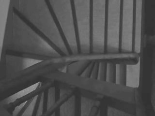 Hommage à Bruce Nauman - Moria++ - 2007