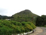 Bandipur to Ooty Road