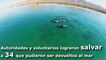 Veinte delfines mueren en una playa al noroeste mexicano