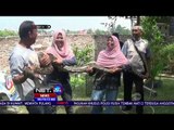 Ular Sanca Kembang 5 Meter Diserahkan ke BKSDA - NET24