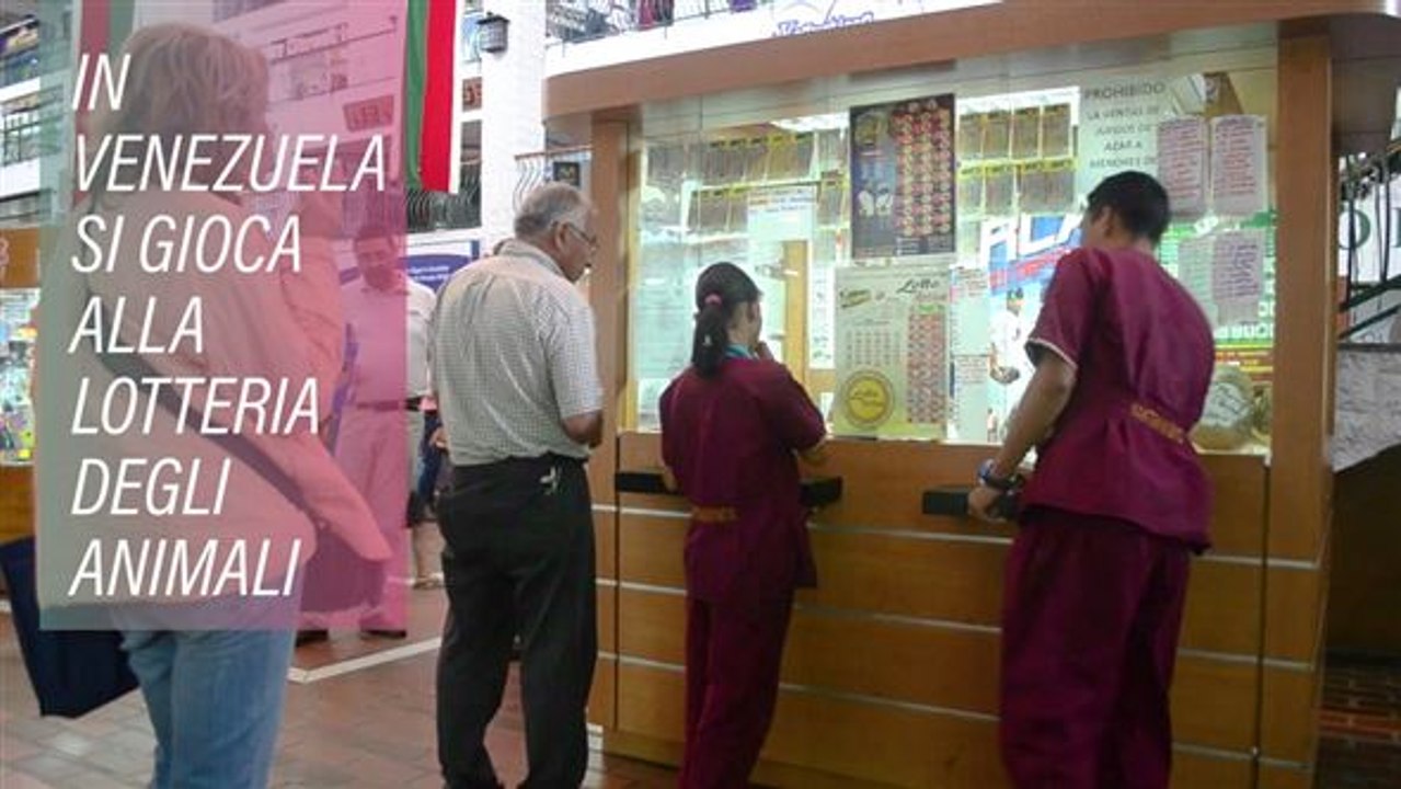 Ecco che cos'è la lotteria degli animali