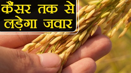 गेहूं के जवारे से होगा जानलेवा बीमारियों का इलाज | Health Benefits of Wheatgrass Powder | Boldsky