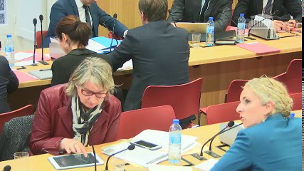 Commission des affaires économiques : M. Didier Gambart, pdg de Toyota France et de M. Luciano Biondo, pdt de Toyota Motor Manufacturing - Mardi 13 février 2018
