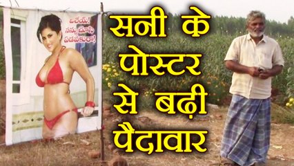 Sunny Leone का Bikini Poster लगा कर किसान हुआ मालामाल | वनइंडिया हिंदी