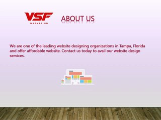 Web Designer in Tampa - Tampa Bay Website Designer