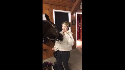 Video herunterladen: Ce cheval est fan de la fermeture éclair de sa maitresse... Tellement drole