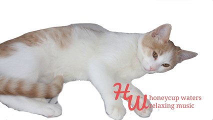 Easy Listening Instrumental Music Honey 88