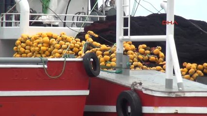 Samsun'da Usulsüz Avlanan 175 Ton 692 Kilo Su Ürününe El Konuldu