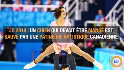 JO 2018 : un chien qui devait être mangé est sauvé par une patineuse artistique canadienne