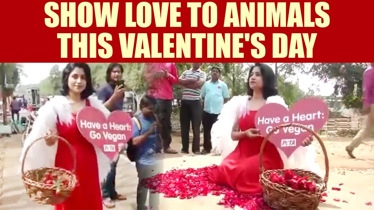 Valentine's Day : PETA spreads message of showing love to animals , Watch | Oneindia News