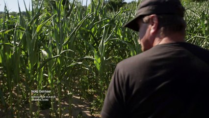 Dans les champs meurtris d'un agriculteur de l'Aisne (2/2)