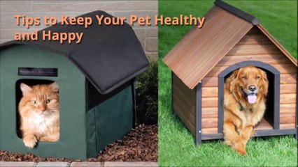 Tips to Keep your Pet Happy and Healthy