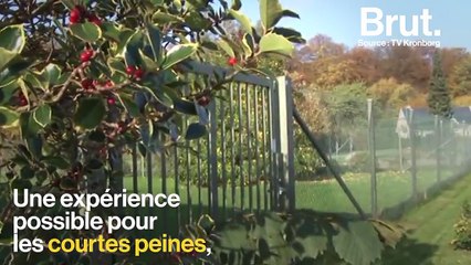 L’emprisonnement, une notion très différente selon les pays