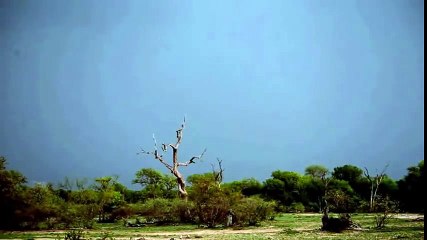 Amazing lightning bolts and thunder storm