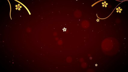 Happy Chinese New Year 2018