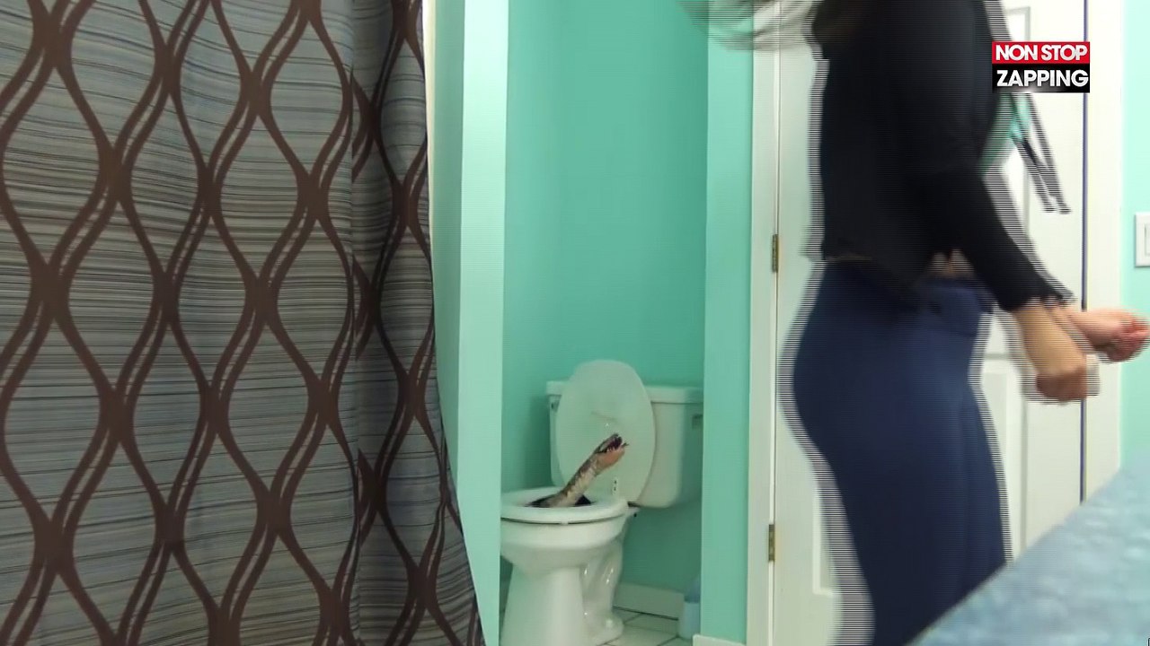 Un homme piège sa femme pour ne plus avoir à baisser la cuvette des toilettes (Vidéo)