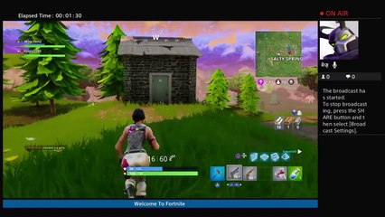 Fortnite duo going for victory royal (5)