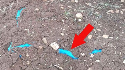Askerin Dikkati Ortaya Çıkardı! Teröristler Sığınak Girişlerini İHA'lar Görmesin Diye Ağaç Altına Yapıyor