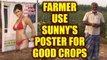 Sunny Leone posters saved Andhra farmer's crops from evil gaze | Oneindia News