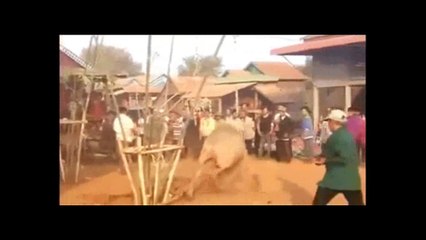 MỖI ÁC NGHIỆP LÀ MỘT TỜ GIẤY NỢ TRẢ ĐỜI NÀY HOẶC TRẢ MAI SAU VAY BAO NHIÊU, TRẢ BẤY NHIÊU.............