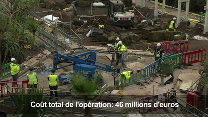 Londres: la plus grande serre victorienne au monde rouvre en mai