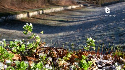 Reportage - Gémapi: la Métro lutte contre les inondations