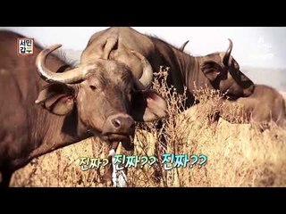 [예고] 150원짜리 사진으로 7억! 사진 갑부의 성공 스토리