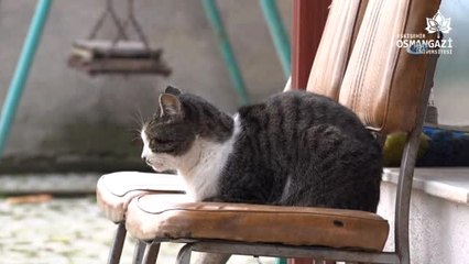 Esogü'den 14 Şubat'a Özel 'Tek Sevdamız Vatan' Videosu